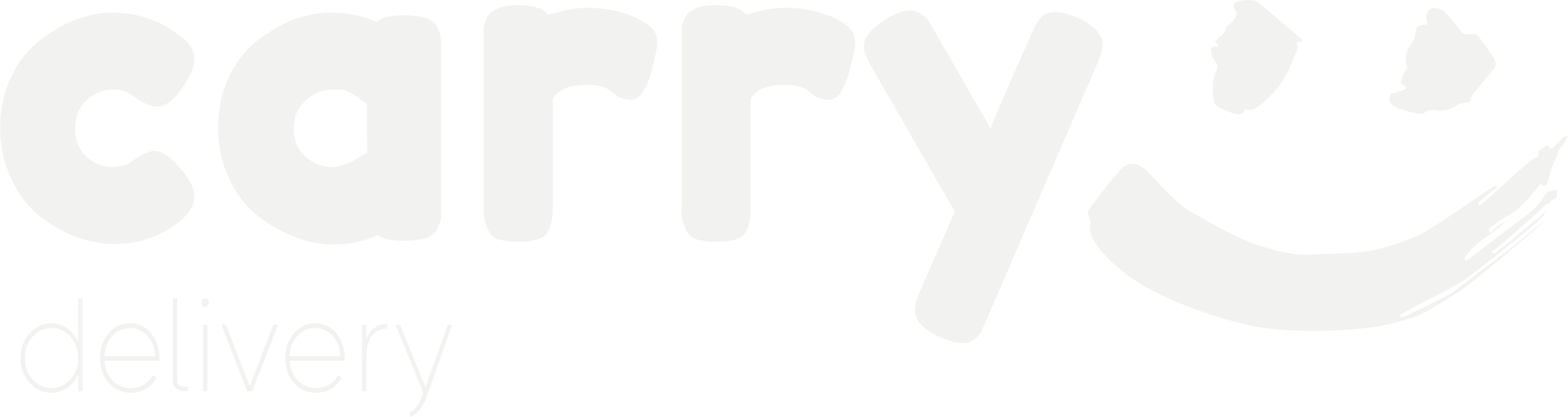 Carry Delivery Logo